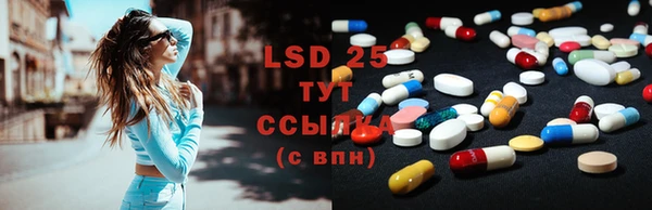 винт Верея