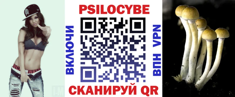 Галлюциногенные грибы мицелий  Купить где  Михайловка 
